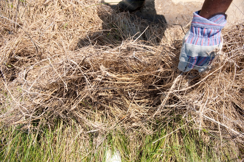 Airboat operations in Bayou La Batre, Ala.