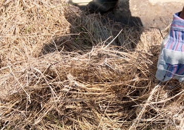 Airboat operations in Bayou La Batre, Ala.