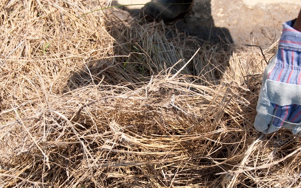 Airboat operations in Bayou La Batre, Ala.
