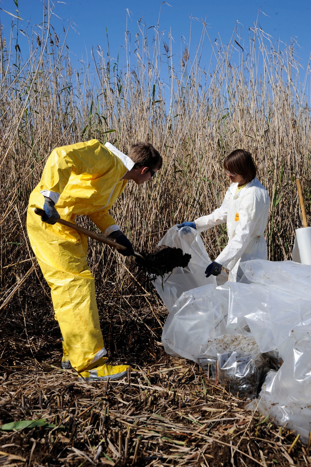 Marsh clean up