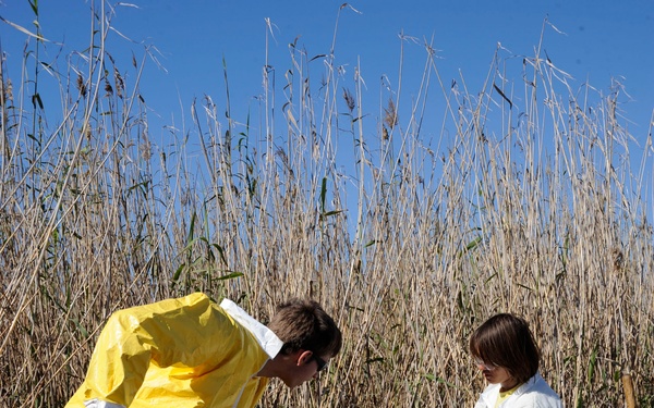 Marsh clean up