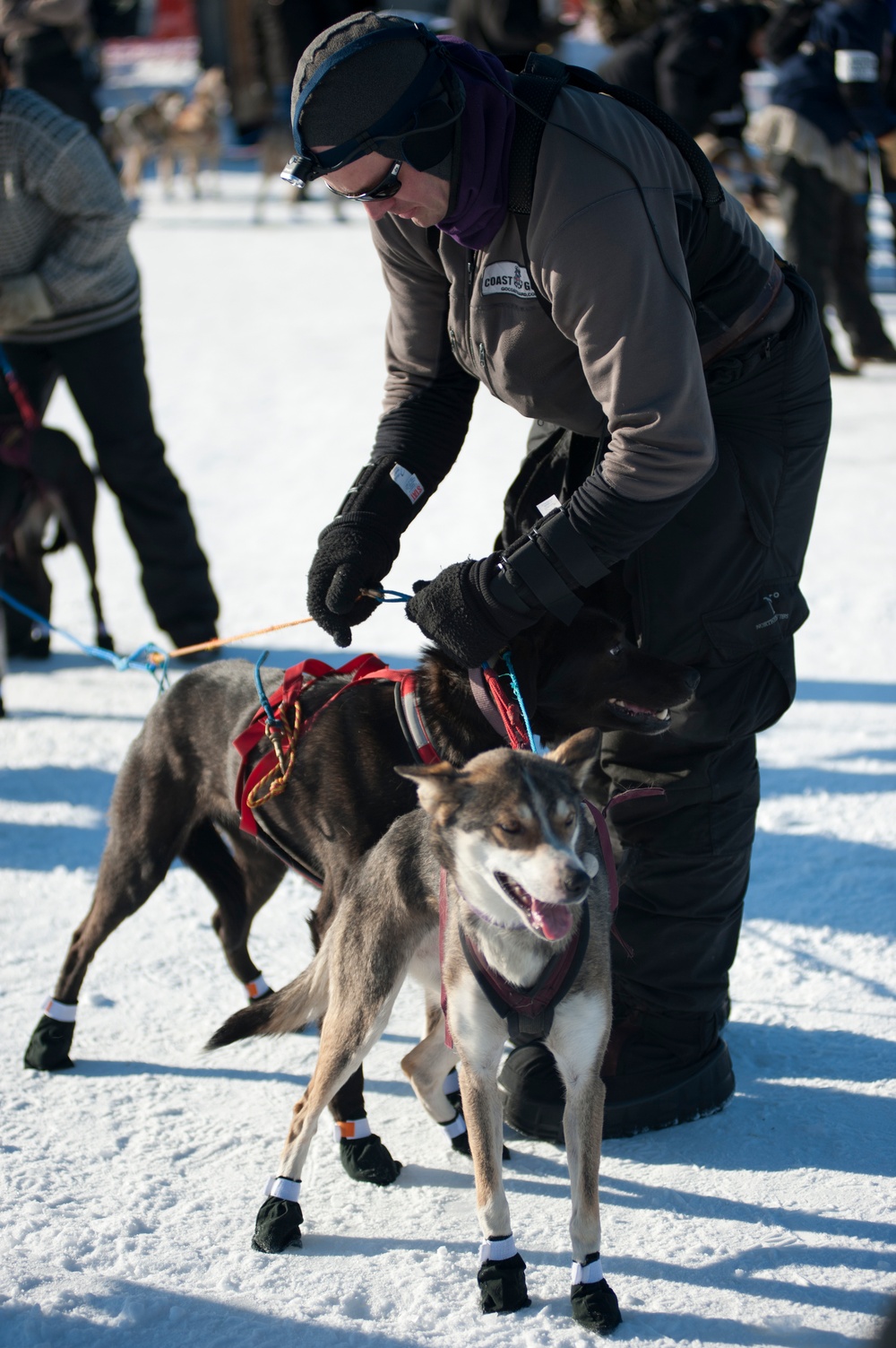 Re-start of the 2011 Iditarod