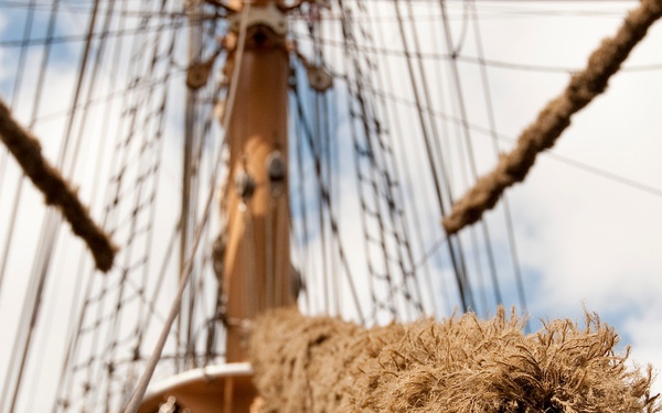 Five things you may not know about the Eagle