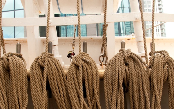 Five things you may not know about the Eagle