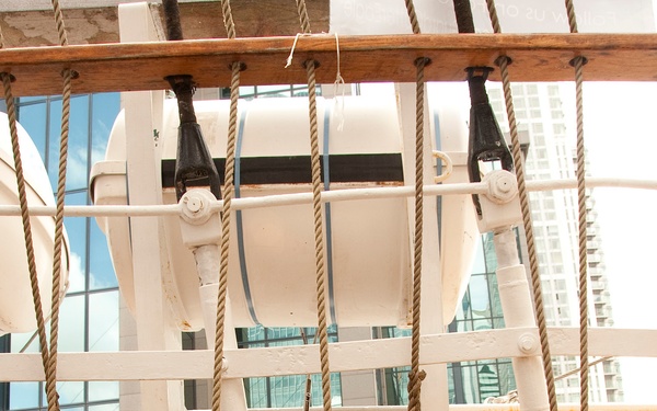 Five things you may not know about the Eagle