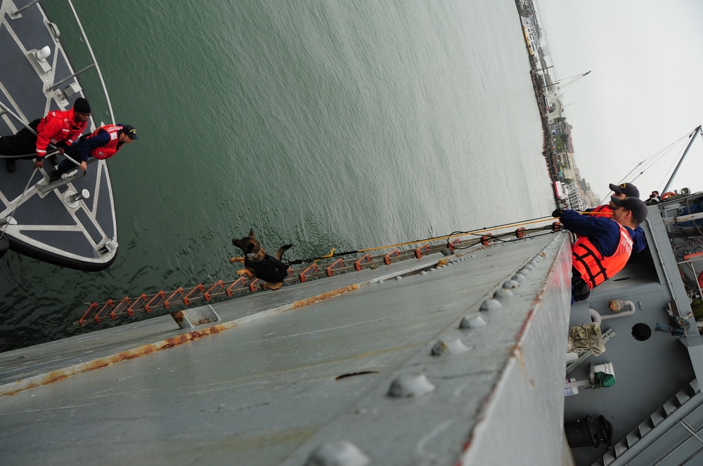 Canine hoist training at Pier 45 in San Francisco