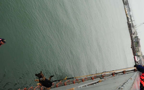 Canine hoist training at Pier 45 in San Francisco