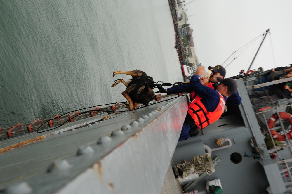 Canine hoist training at Pier 45 in San Francisco