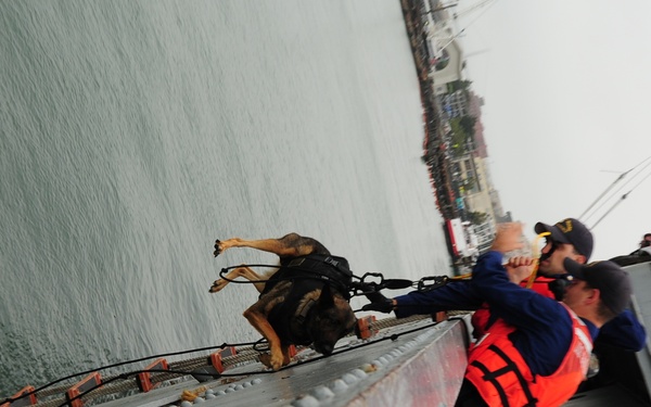 Canine hoist training at Pier 45 in San Francisco