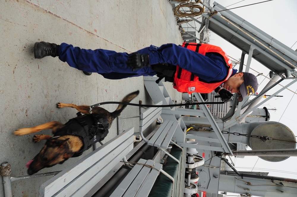 explosive detection training