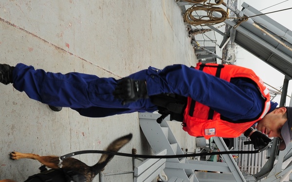 explosive detection training