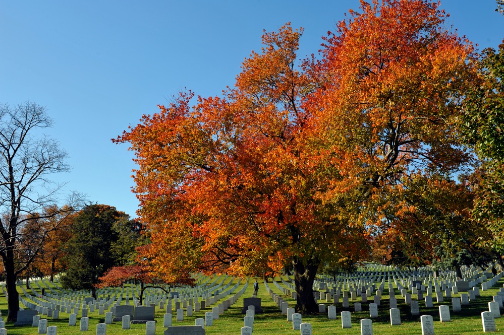 Flags Across America