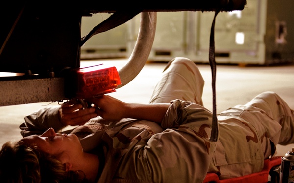 PSU 308 Bold Alligator 2012 mobilization