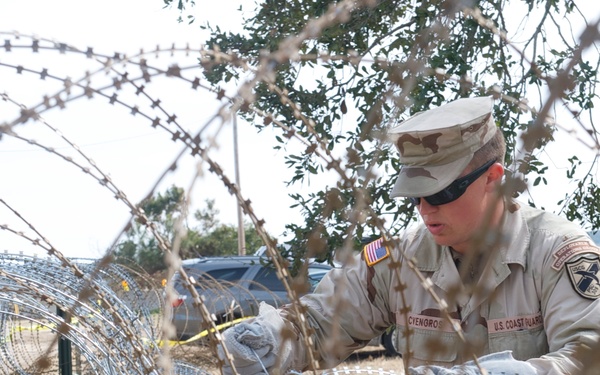 Operation Bold Alligator