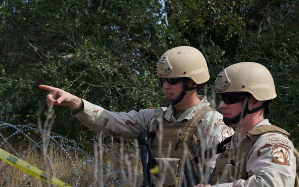 Operation Bold Alligator