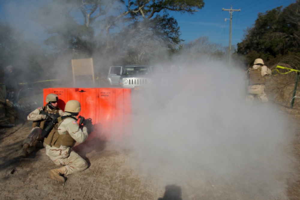 Operation Bold Alligator