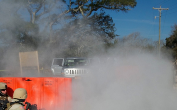 Operation Bold Alligator