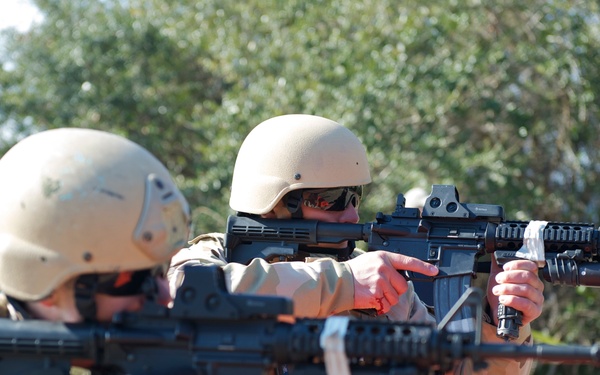 Operation Bold Alligator