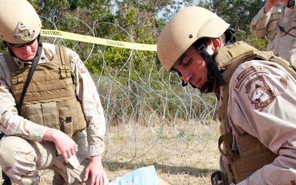 Operation Bold Alligator