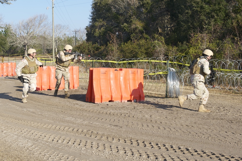 Operation Bold Alligator