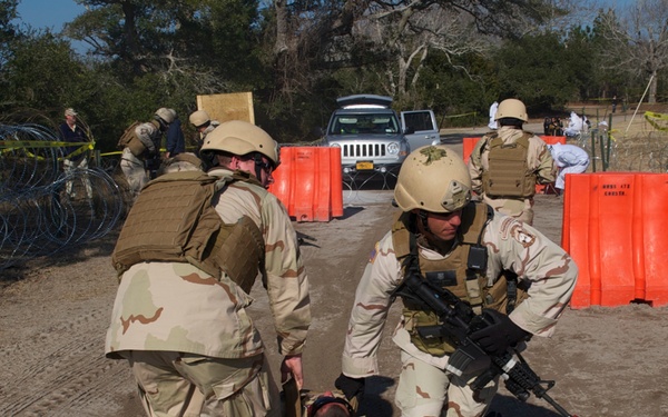 Operation Bold Alligator