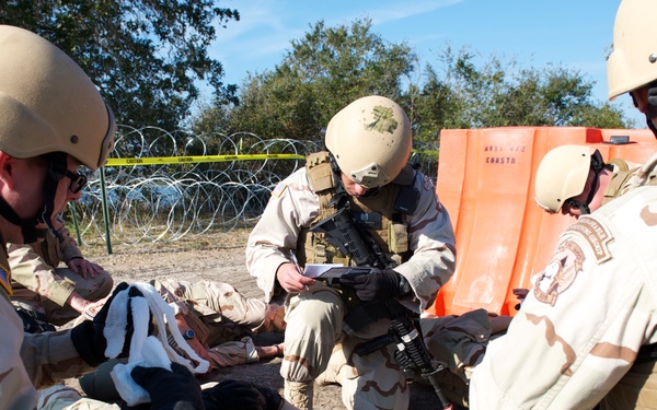 Operation Bold Alligator