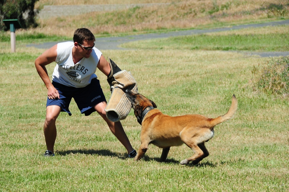 multi-agency training