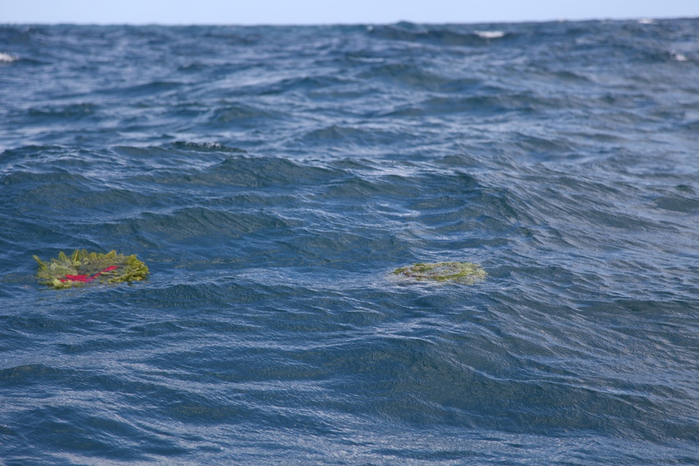 Wreaths Over the Water