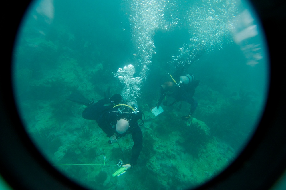 RDLE Divers conduct environmental surveys