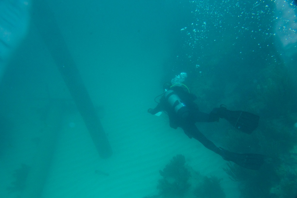 RDLE Divers conduct environmental surveys