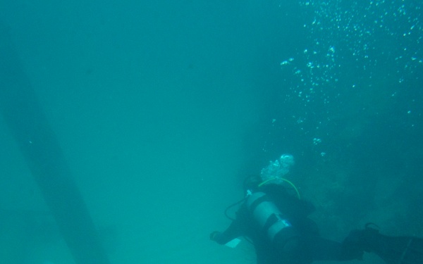 RDLE Divers conduct environmental surveys
