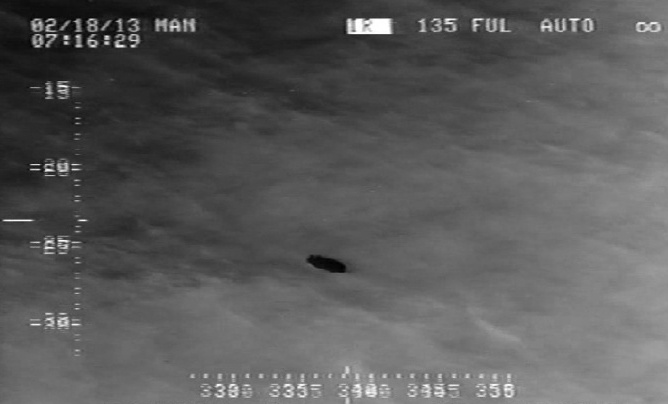 Fishing vessel Miss Ally