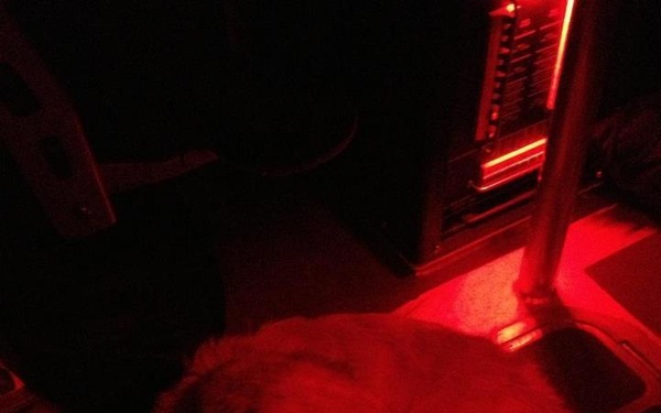 SCC rescues man and dog