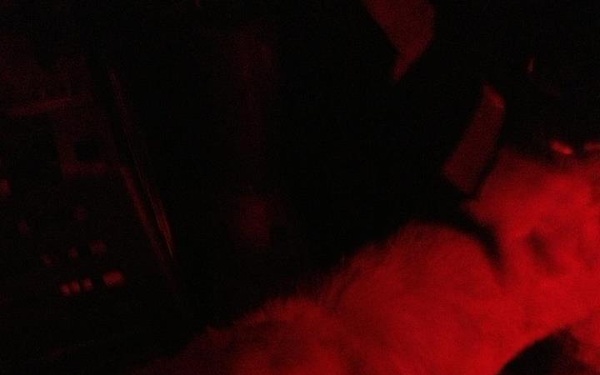 SCC rescues man and dog