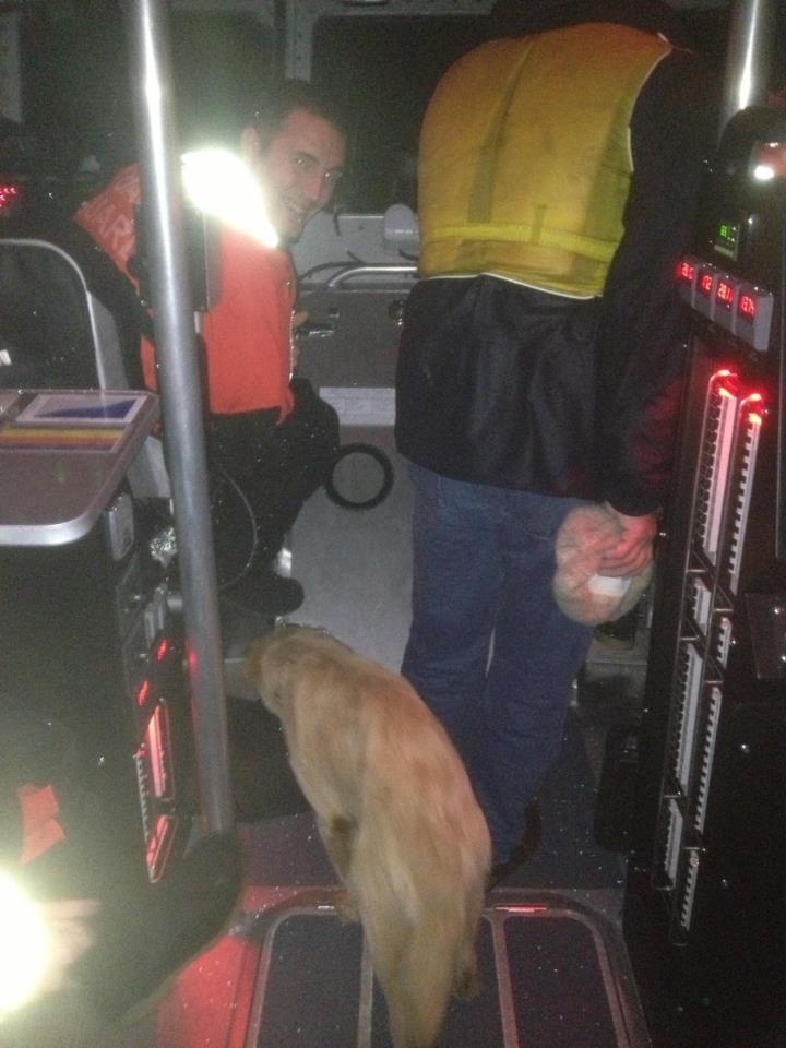 SCC rescues man and dog