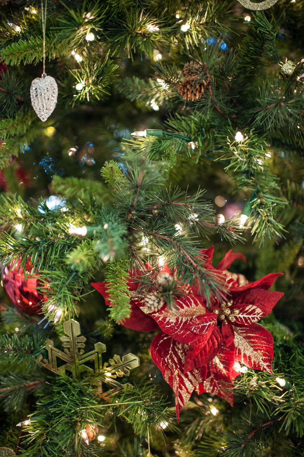 USARC Holiday Open House 2013