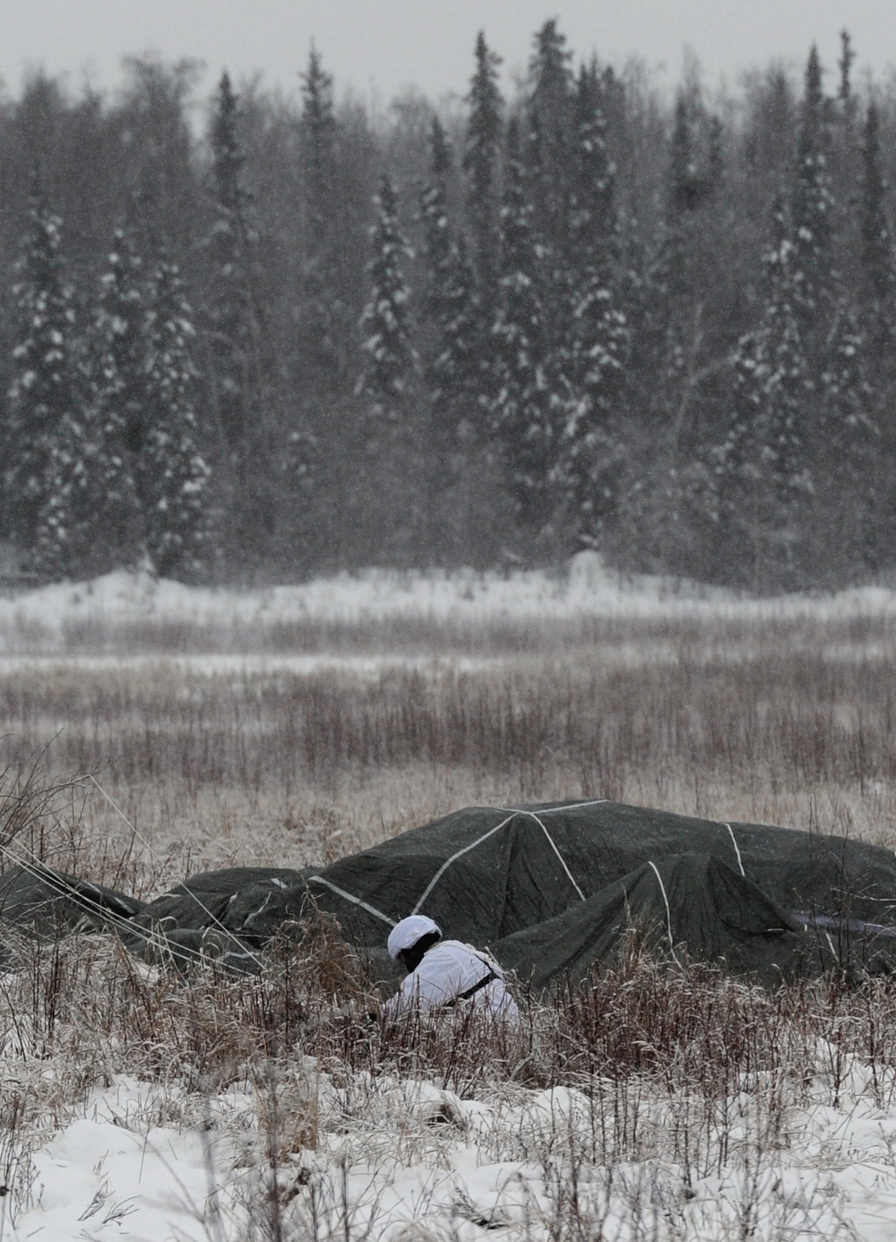 Spartans conduct Arctic airborne ops