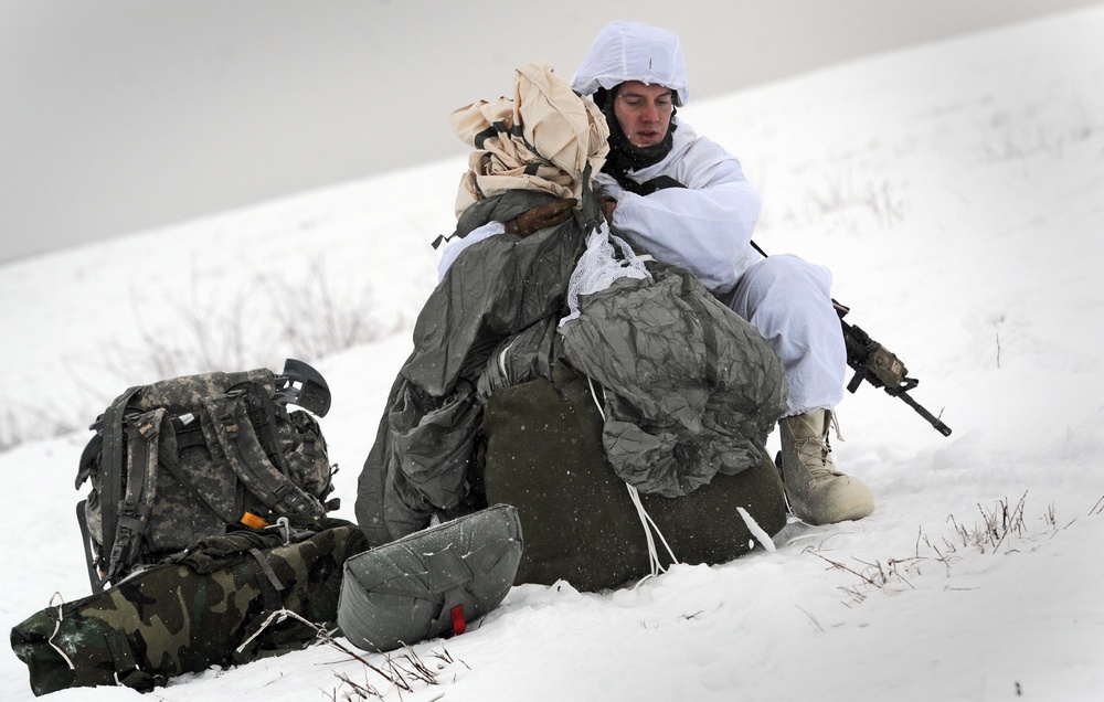 Spartans conduct Arctic airborne ops