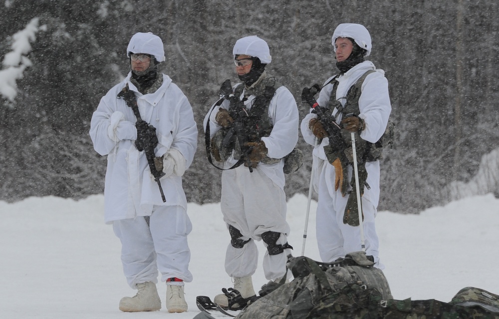 Spartans Conduct Arctic Airborne Ops