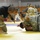 The kickoff: 2013 Fort Bragg Army Combatives Championship eliminations
