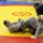 The kickoff: 2013 Fort Bragg Army Combatives Championship eliminations