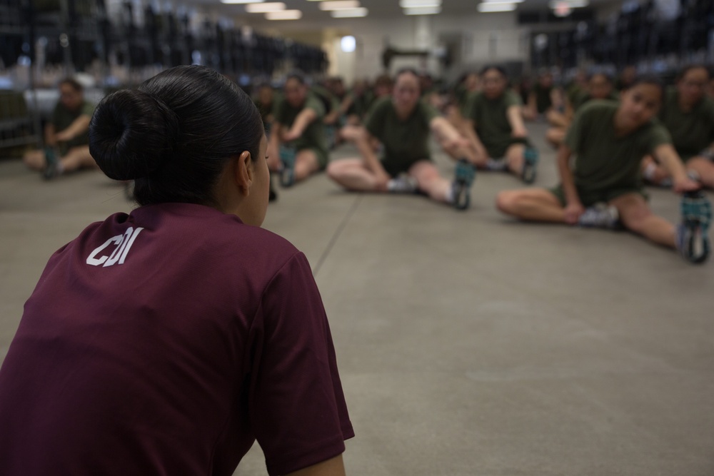 Photo Gallery: Parris Island recruits strive to meet Corps' high physical fitness standards