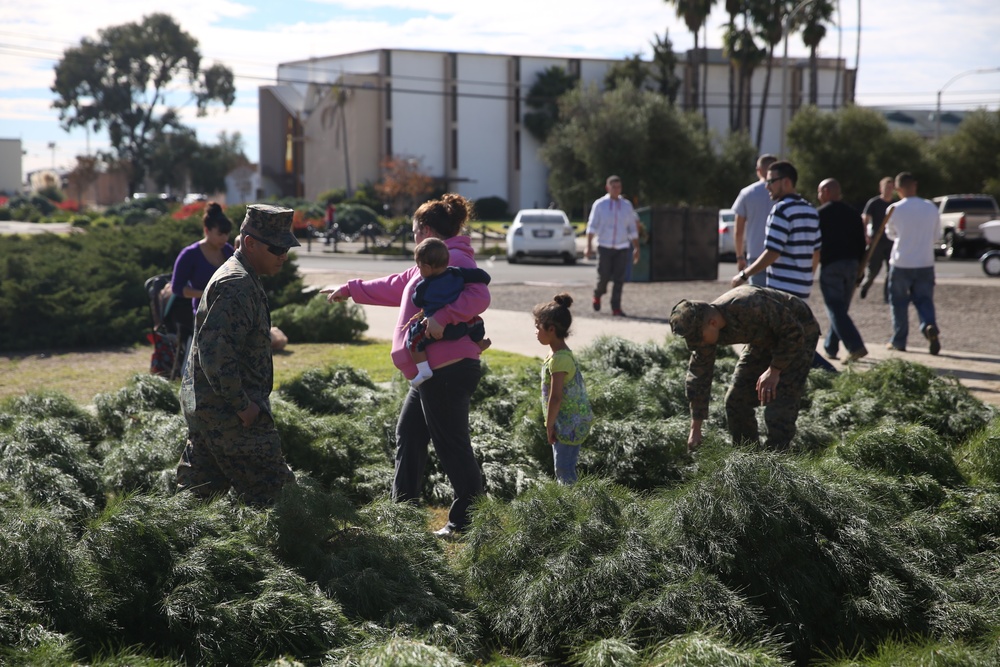 Peltzer Pines Tree Farm donates 150 trees to service members and their families