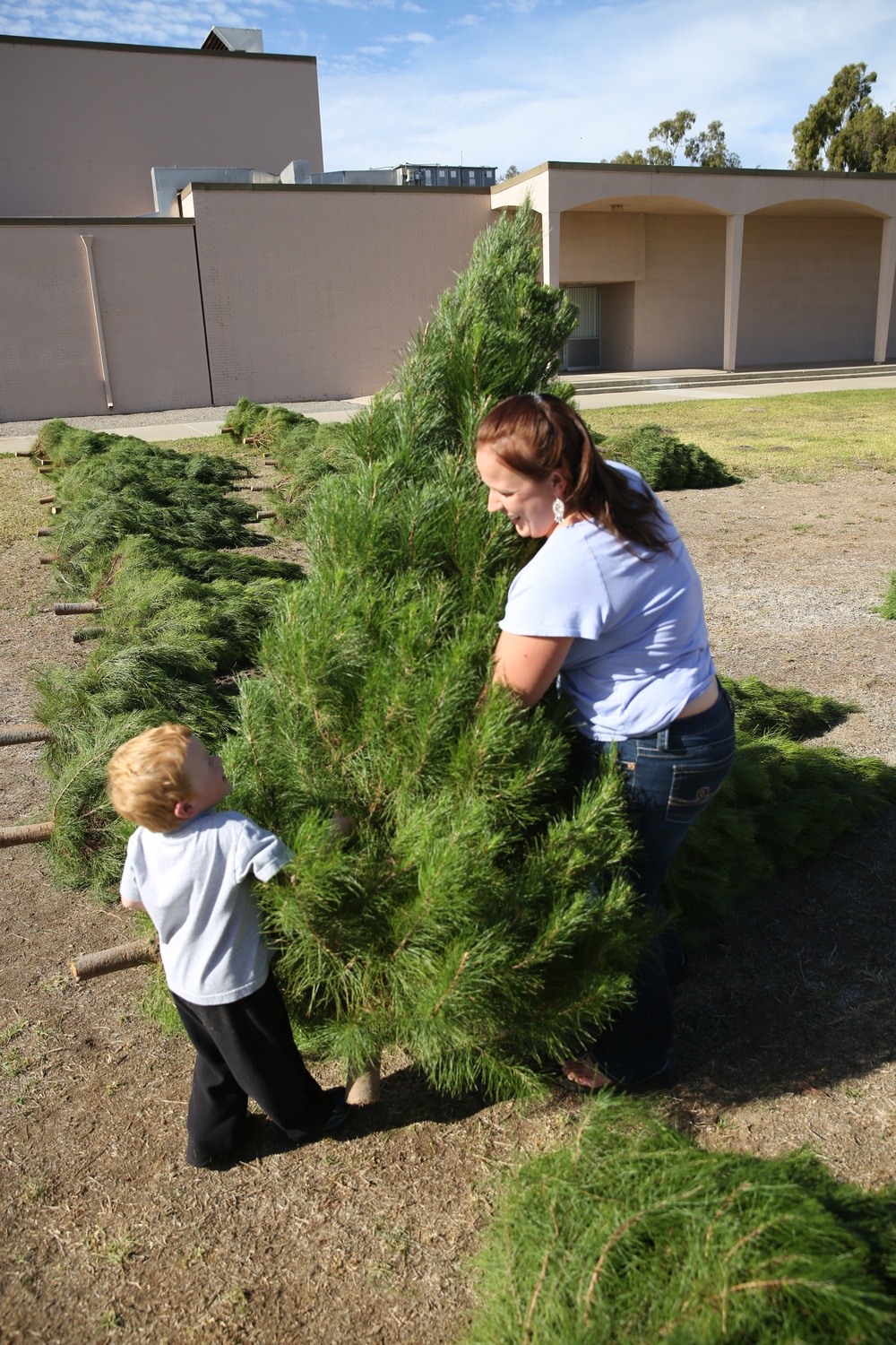 Peltzer Pines Tree Farm donates 150 trees to service members and their families