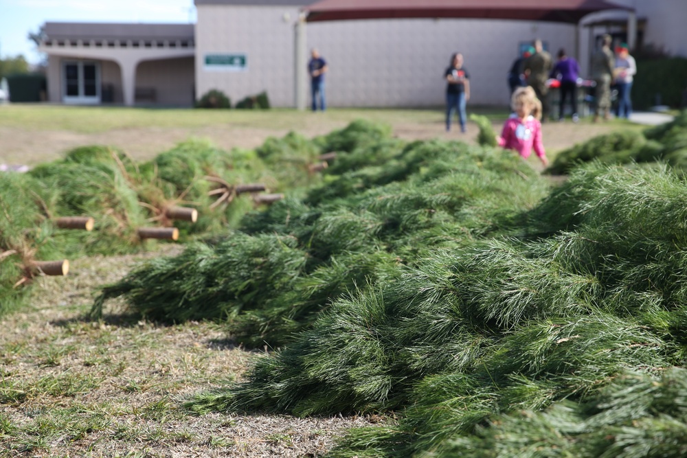 Peltzer Pines Tree Farm donates 150 trees to service members and their families