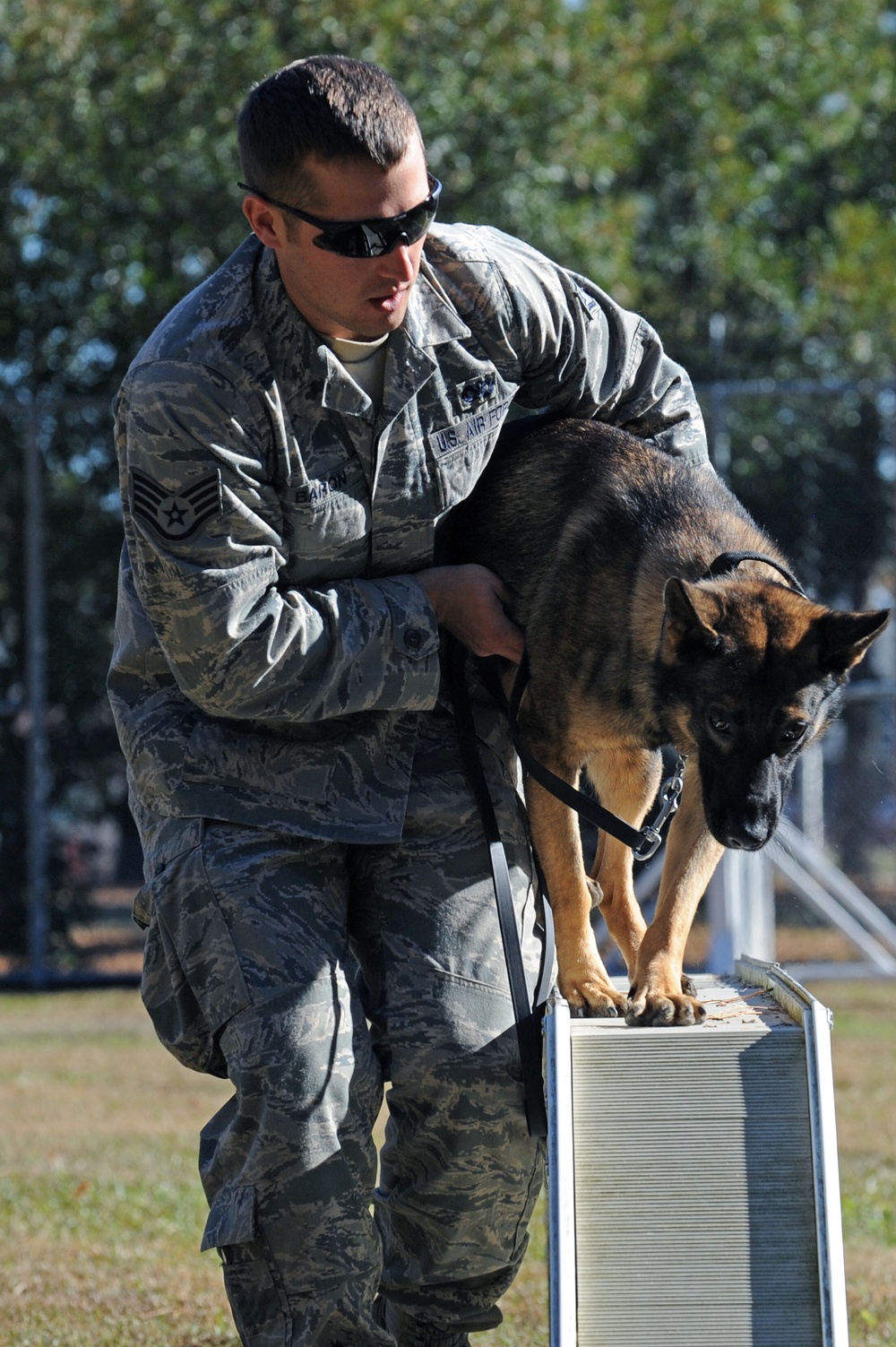 Man's best friend, airman's best wingman