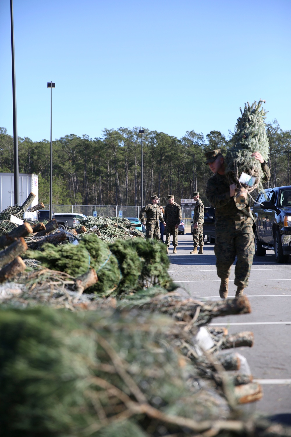 Trees for Troops delivers holiday cheer to air station