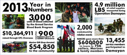 2013 Year in Numbers