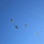 Air Delivery Platoon parachutes from CH-46s
