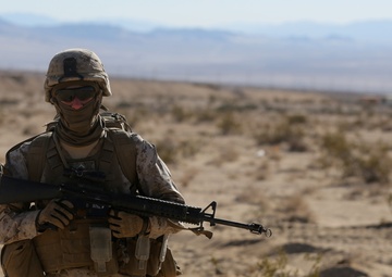 Infantrymen work hand in hand with Afghans during counterinsurgency exercise